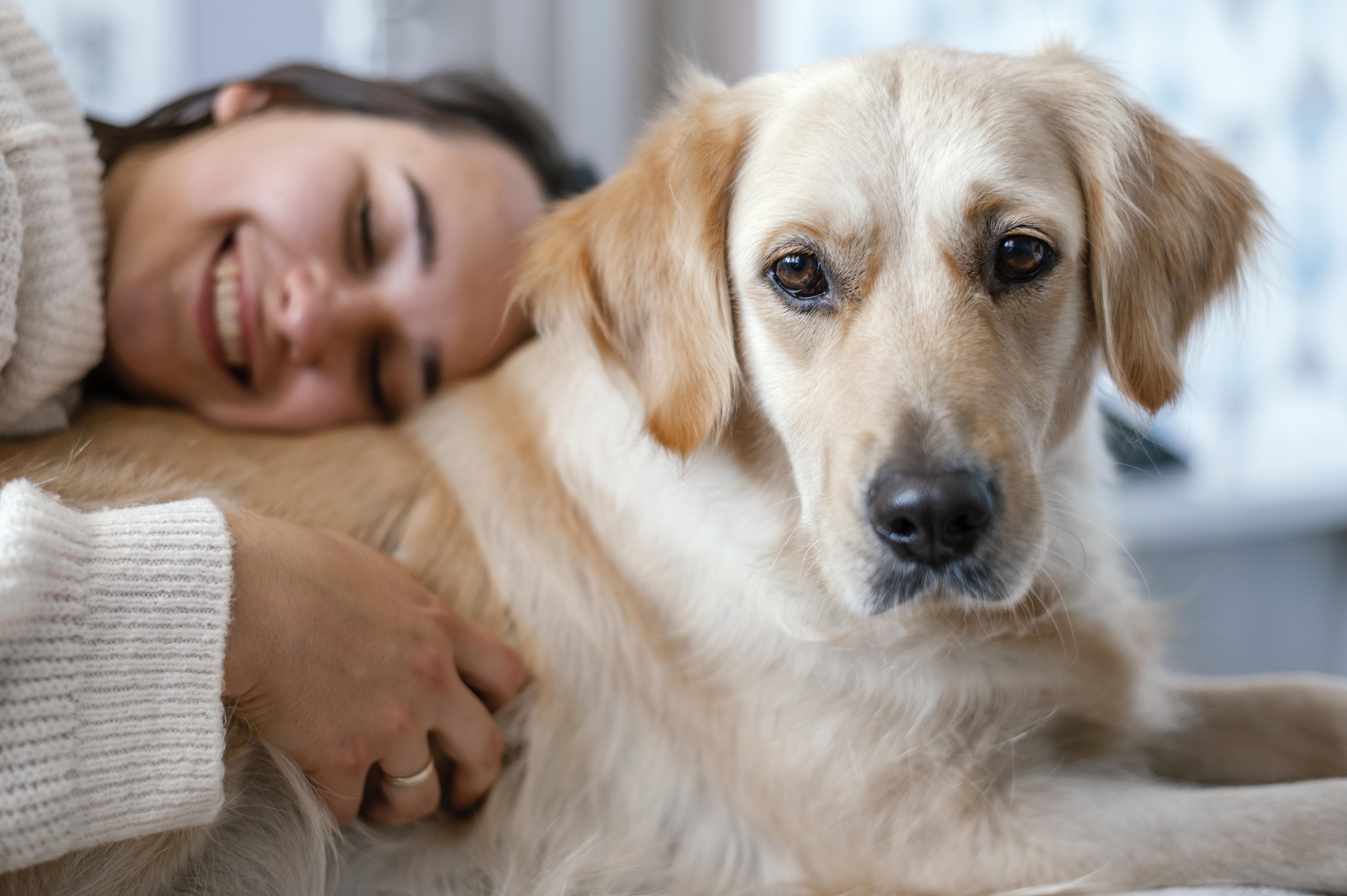 การบำบัดด้วยสัตว์ (Animal Assisted Therapy)
